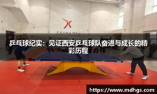 BB贝博登录入口